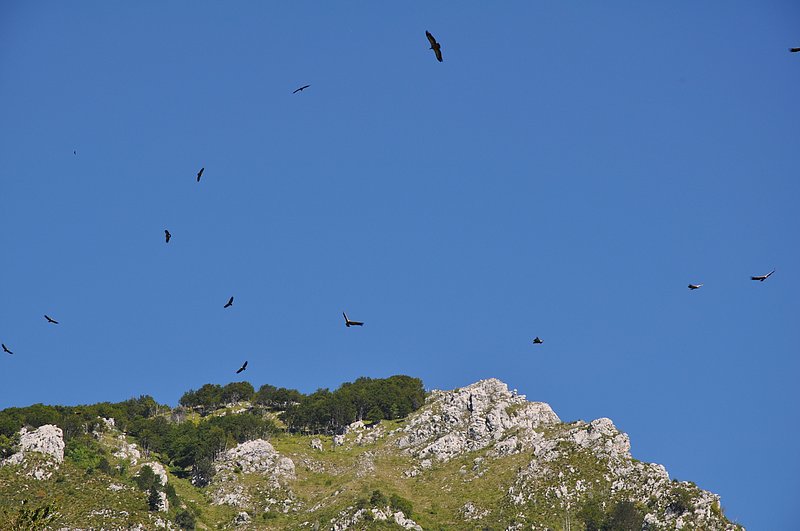 vues de la vallée d'aspe