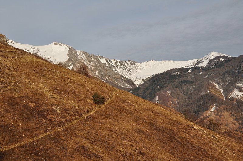 vues de la vallée d'aspe