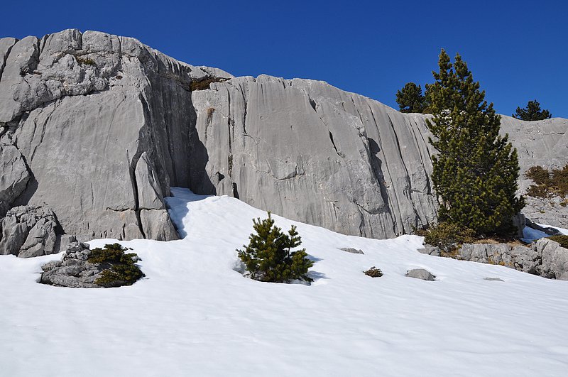 vues de la vallée d'aspe