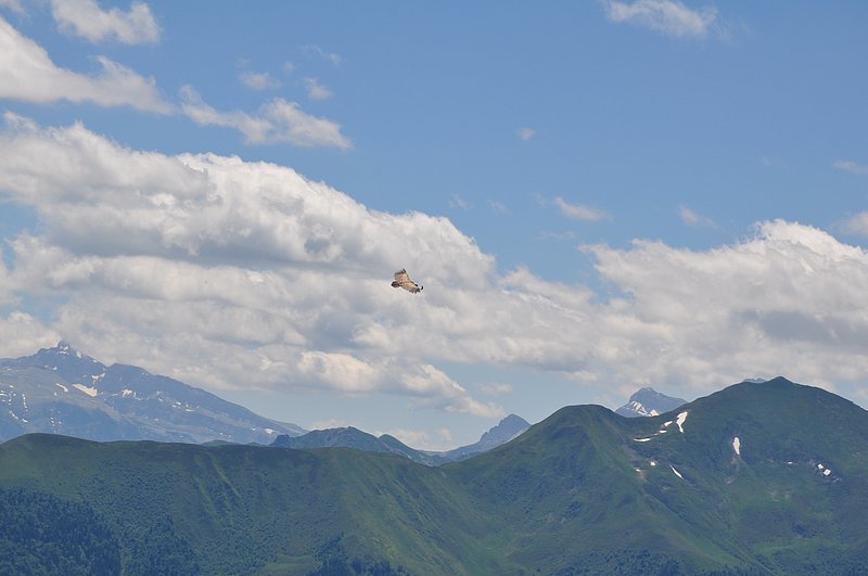 vues de la vallée d'aspe