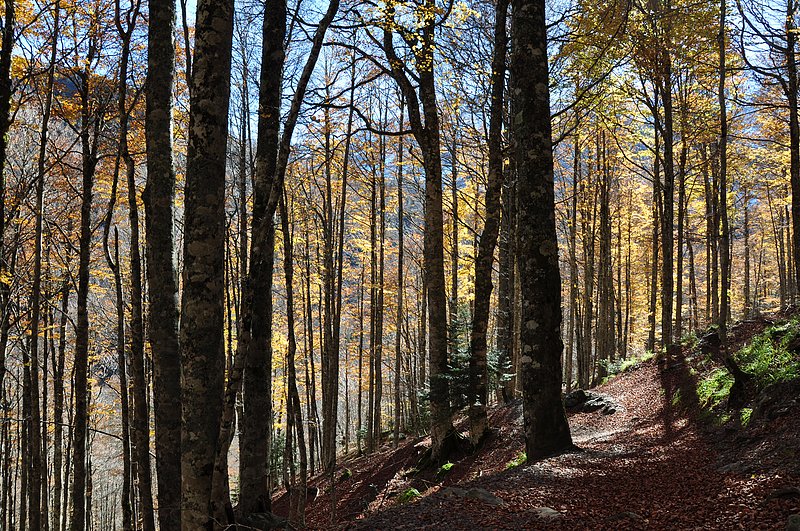 vues de la vallée d'aspe